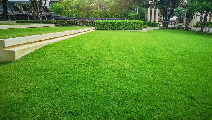 Lawn maintenance in Halifax, NS
